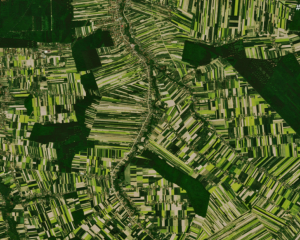 Can we halve the use of pesticides in the EU by 2030?